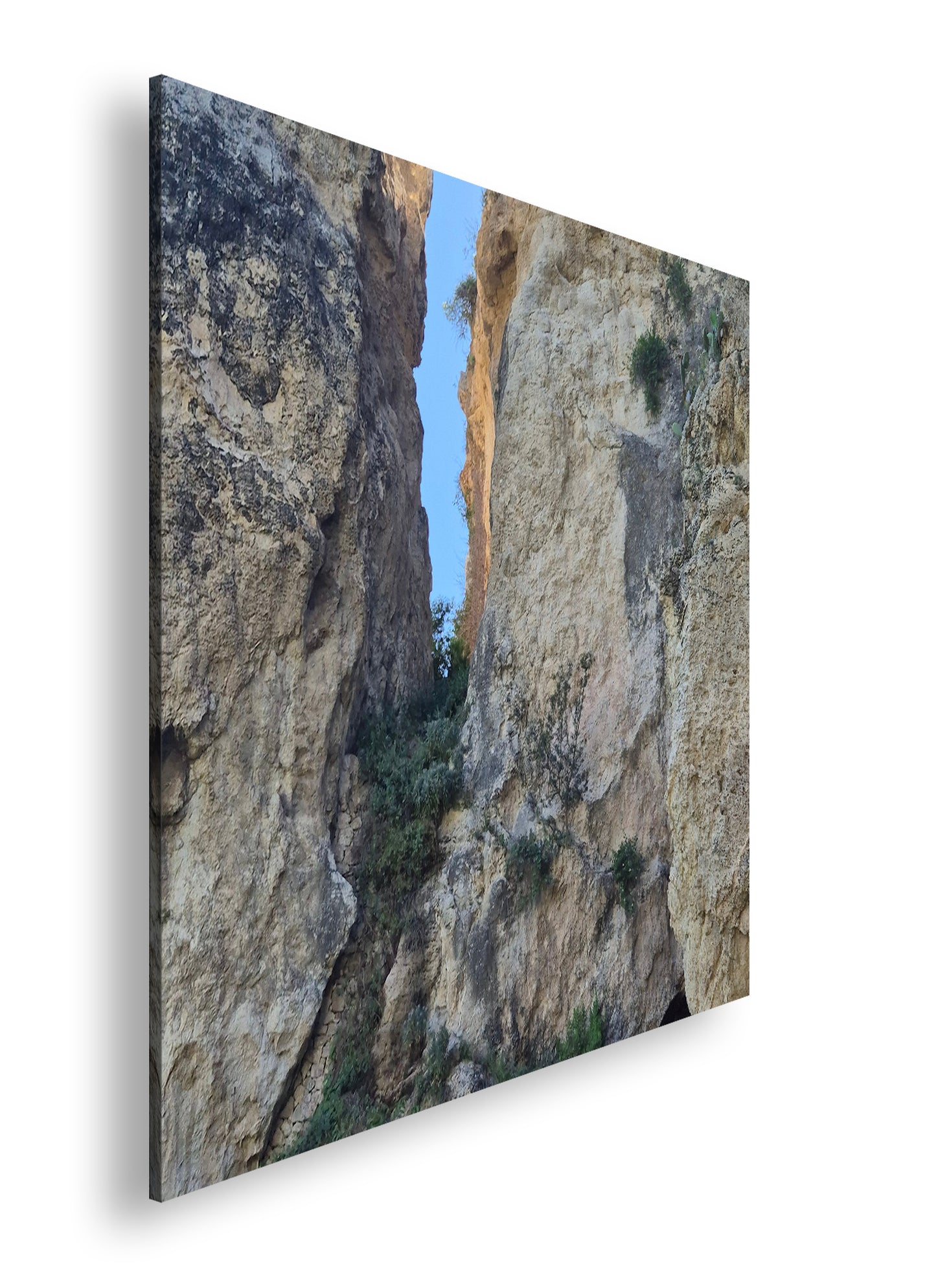 Hauptbild Farbig Quadratisch