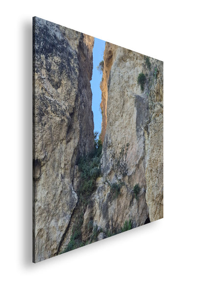 Hauptbild Farbig Quadratisch