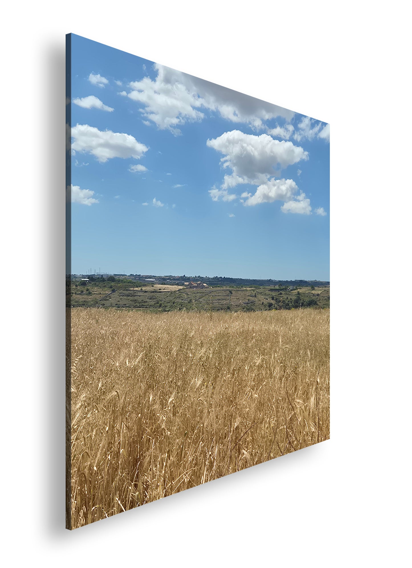 Hauptbild Farbig Quadratisch