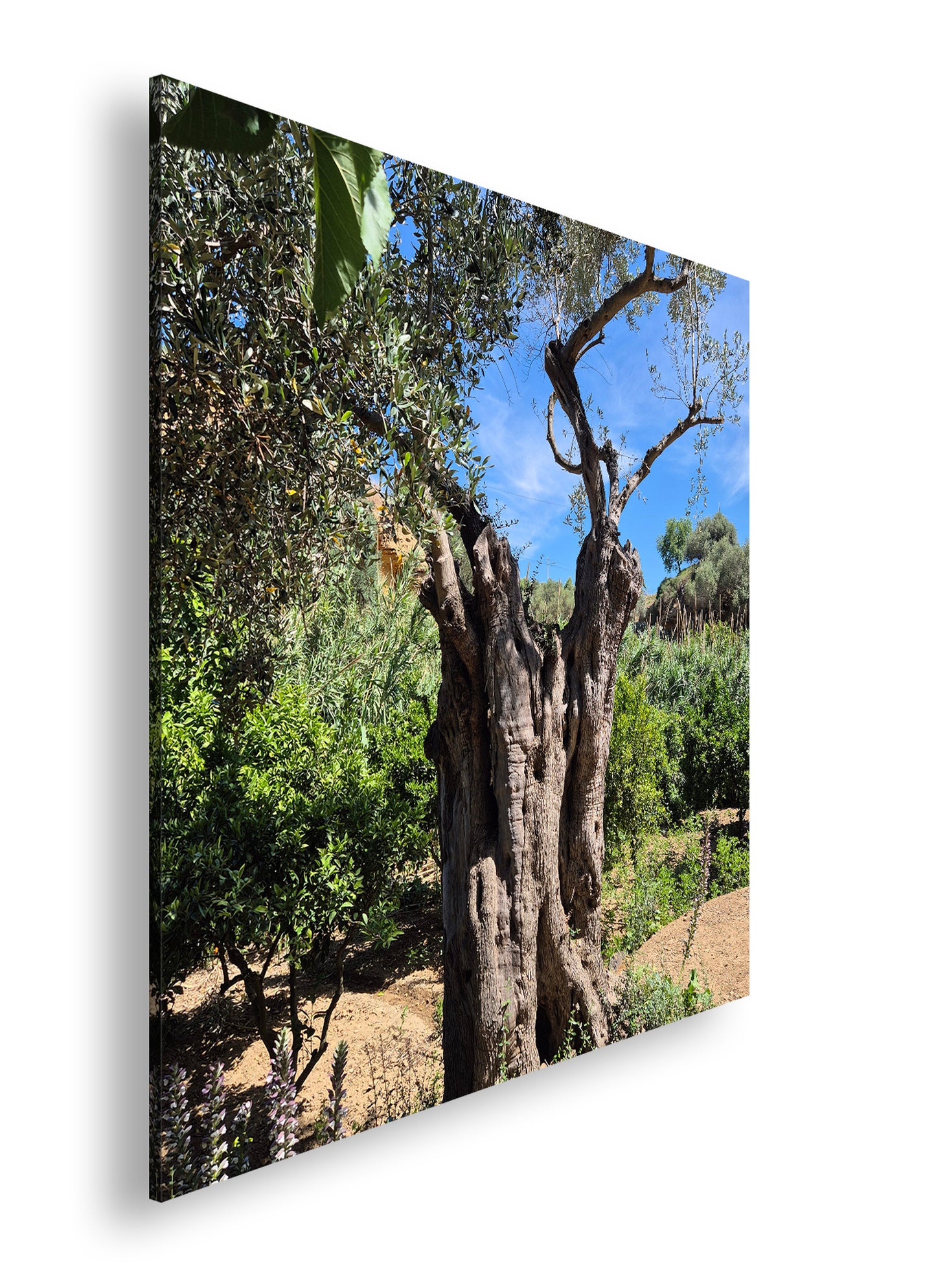 Hauptbild Farbig Quadratisch