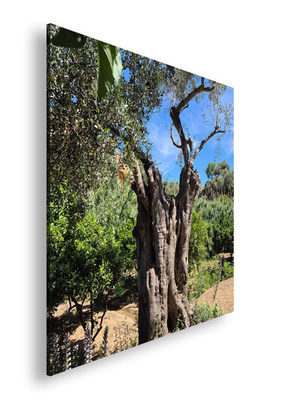 Hauptbild Farbig Quadratisch