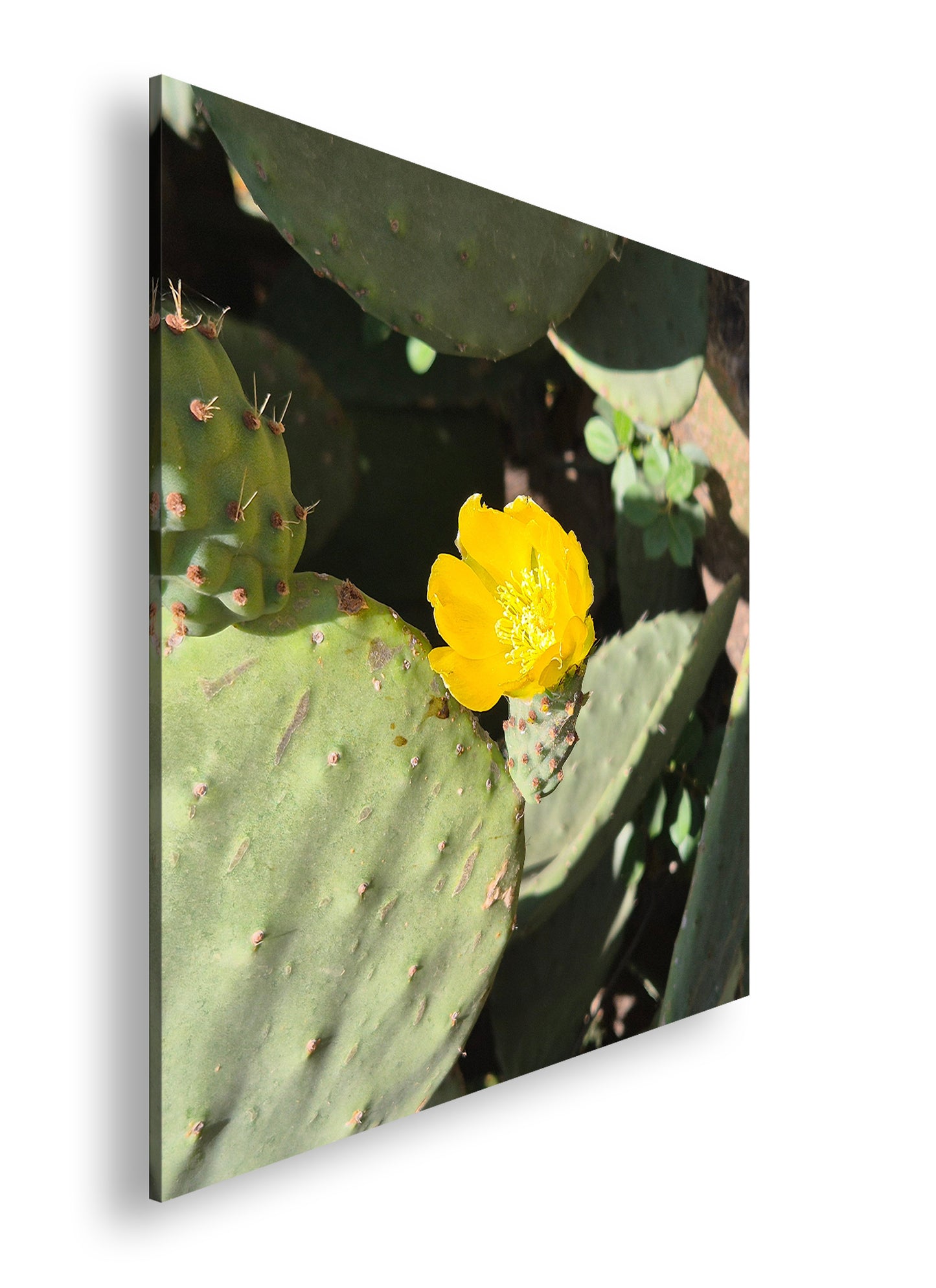 Hauptbild Farbig Quadratisch