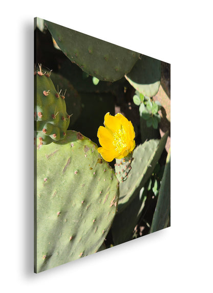 Hauptbild Farbig Quadratisch