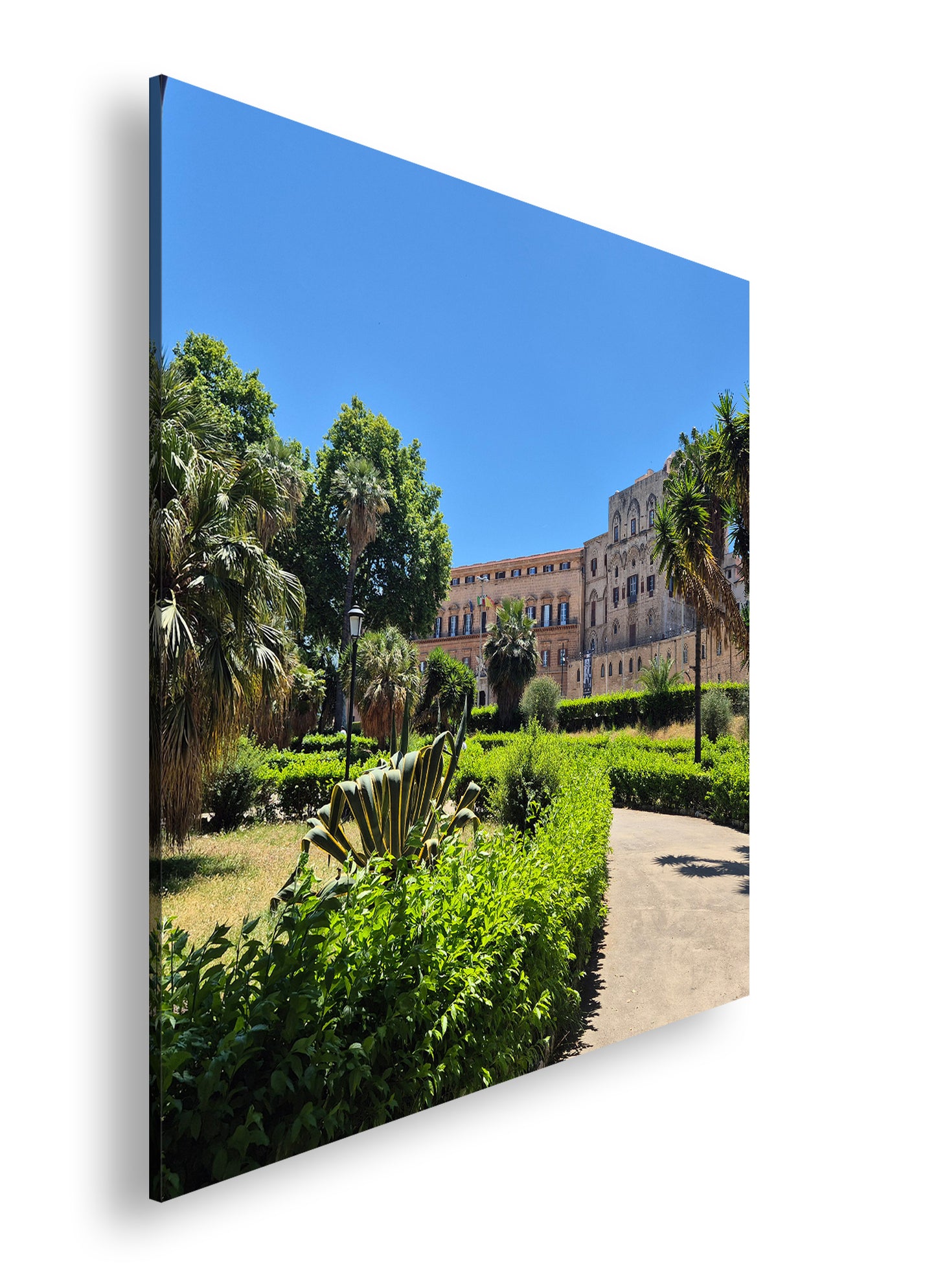 Hauptbild Farbig Quadratisch