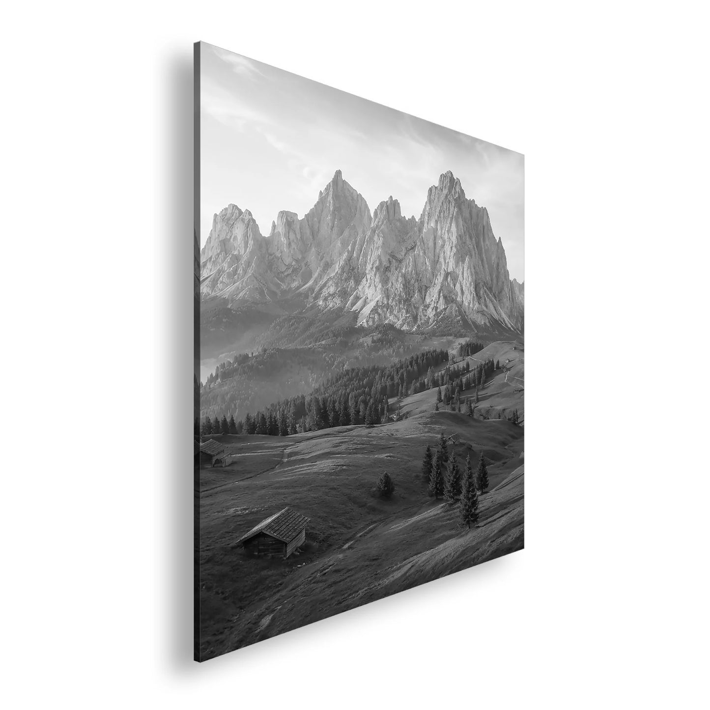 Hauptbild Schwarz & Weiß Quadratisch