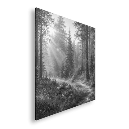 Hauptbild Schwarz & Weiß Quadratisch