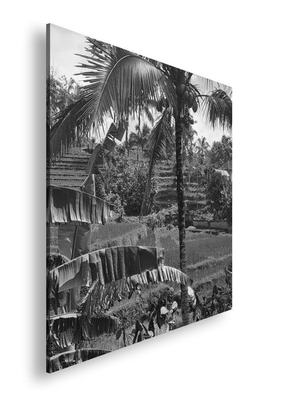 Hauptbild Schwarz & Weiß Quadratisch