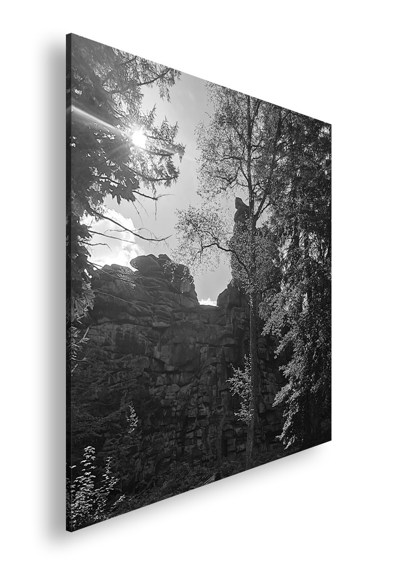 Hauptbild Schwarz & Weiß Quadratisch