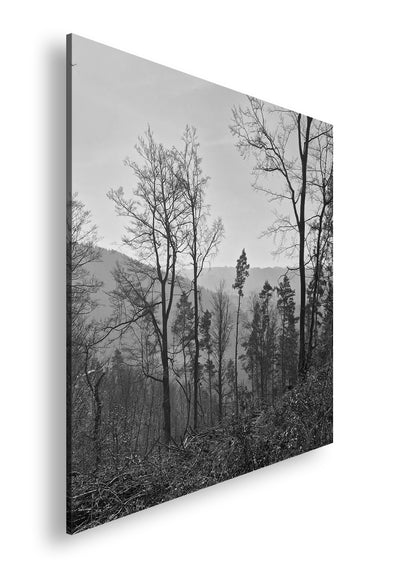 Hauptbild Schwarz & Weiß Quadratisch