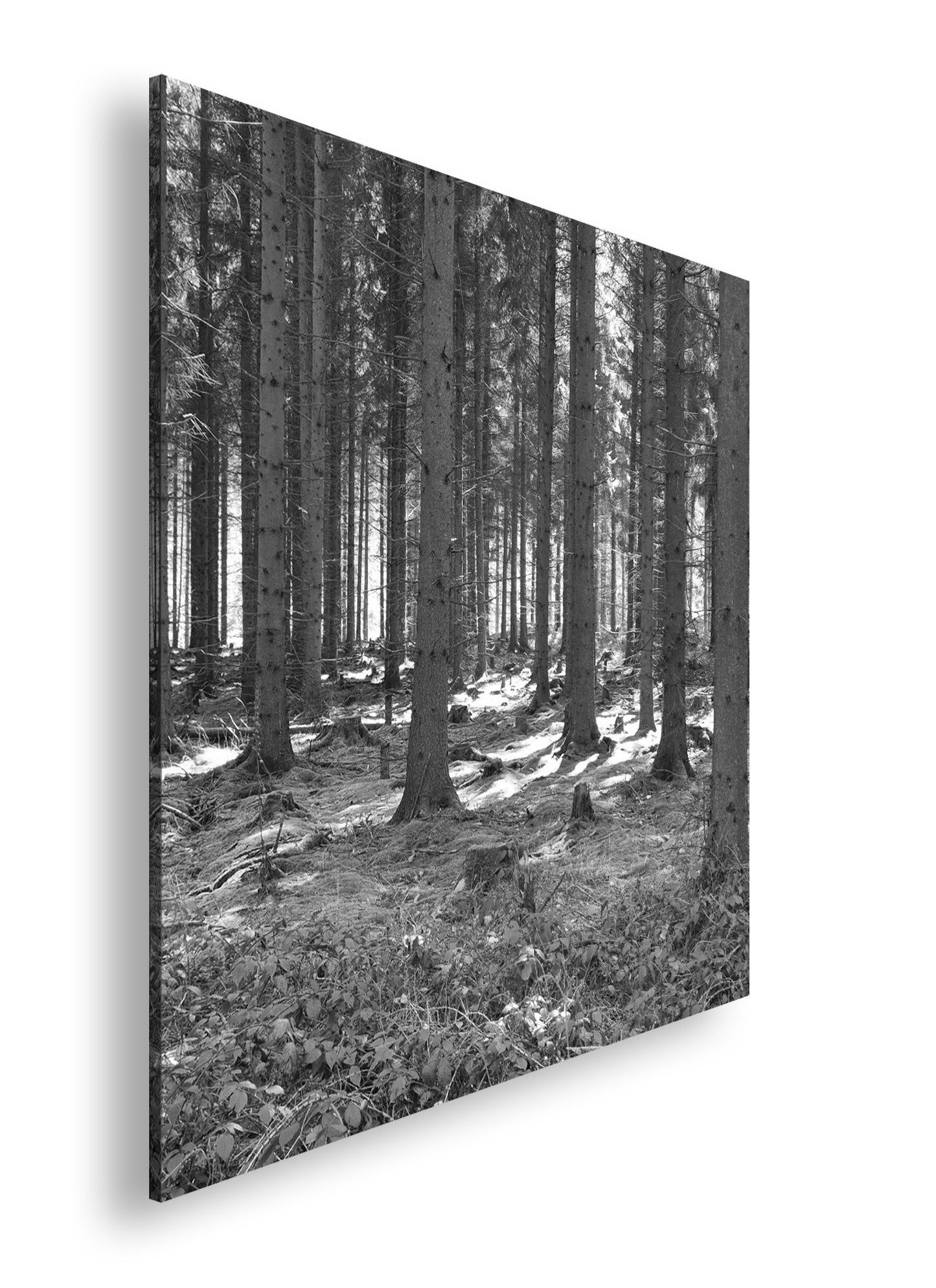 Hauptbild Schwarz & Weiß Quadratisch