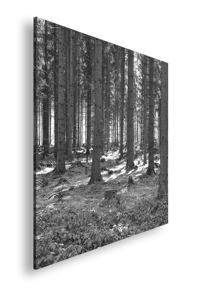 Hauptbild Schwarz & Weiß Quadratisch