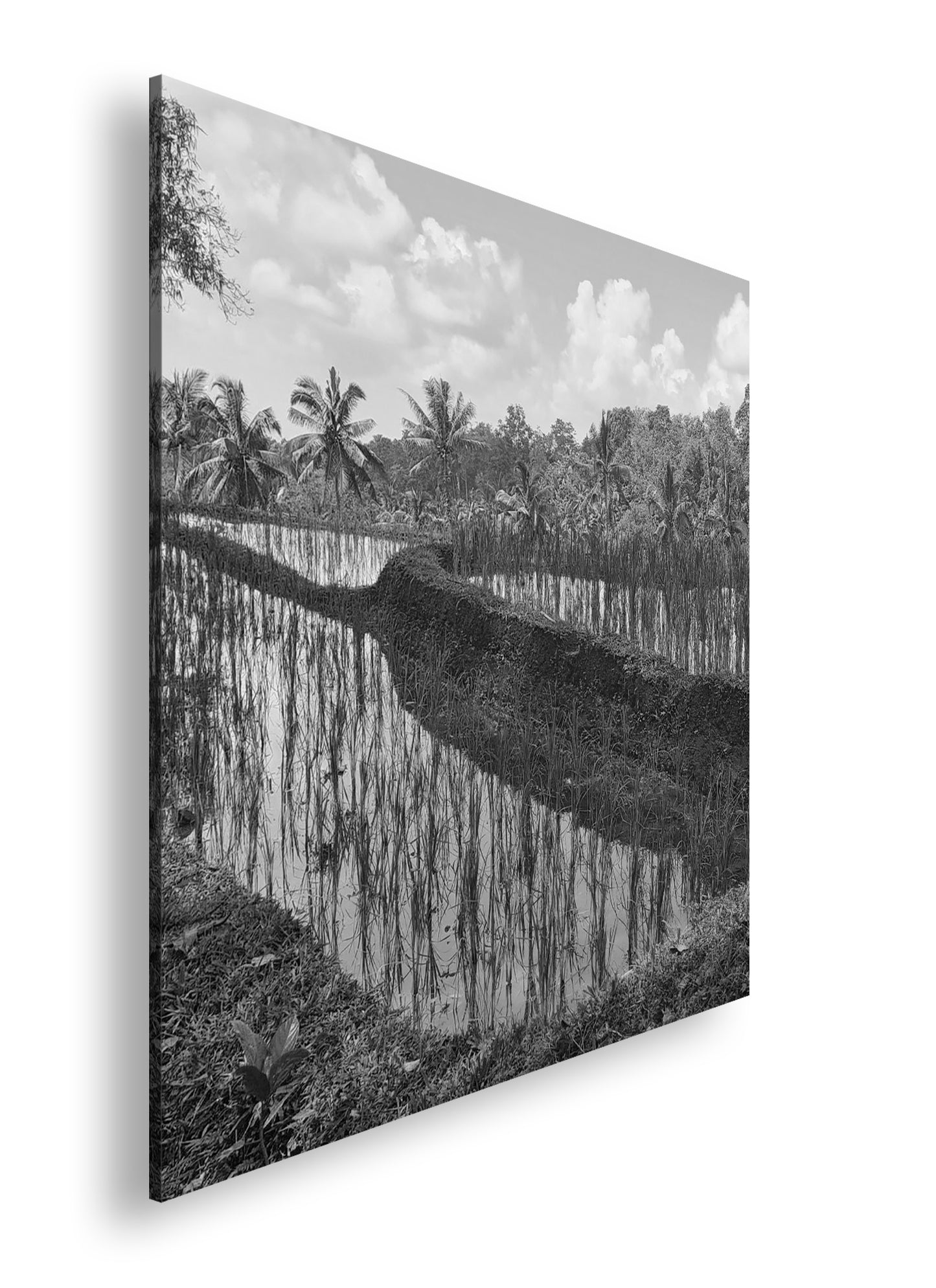 Hauptbild Schwarz & Weiß Quadratisch