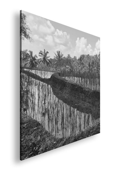 Hauptbild Schwarz & Weiß Quadratisch