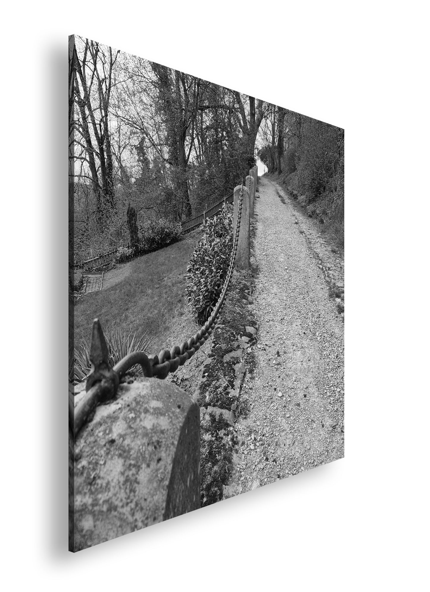 Hauptbild Schwarz & Weiß Quadratisch