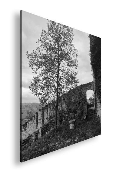 Hauptbild Schwarz & Weiß Quadratisch