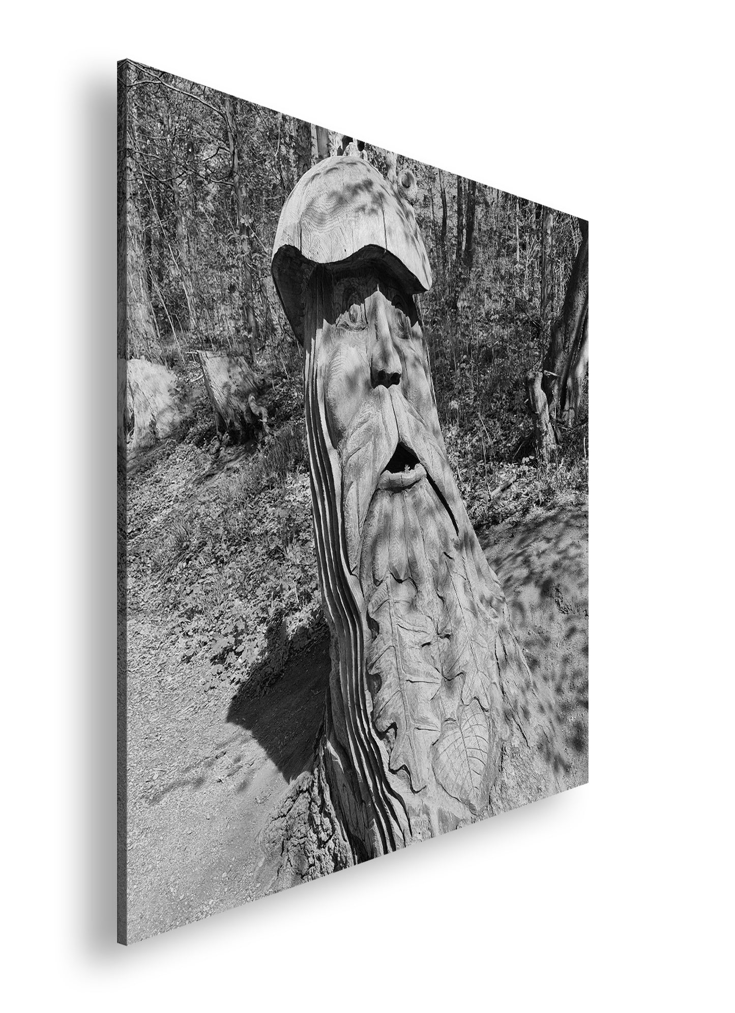 Hauptbild Schwarz & Weiß Quadratisch