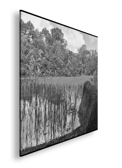 Hauptbild Schwarz & Weiß Quadratisch