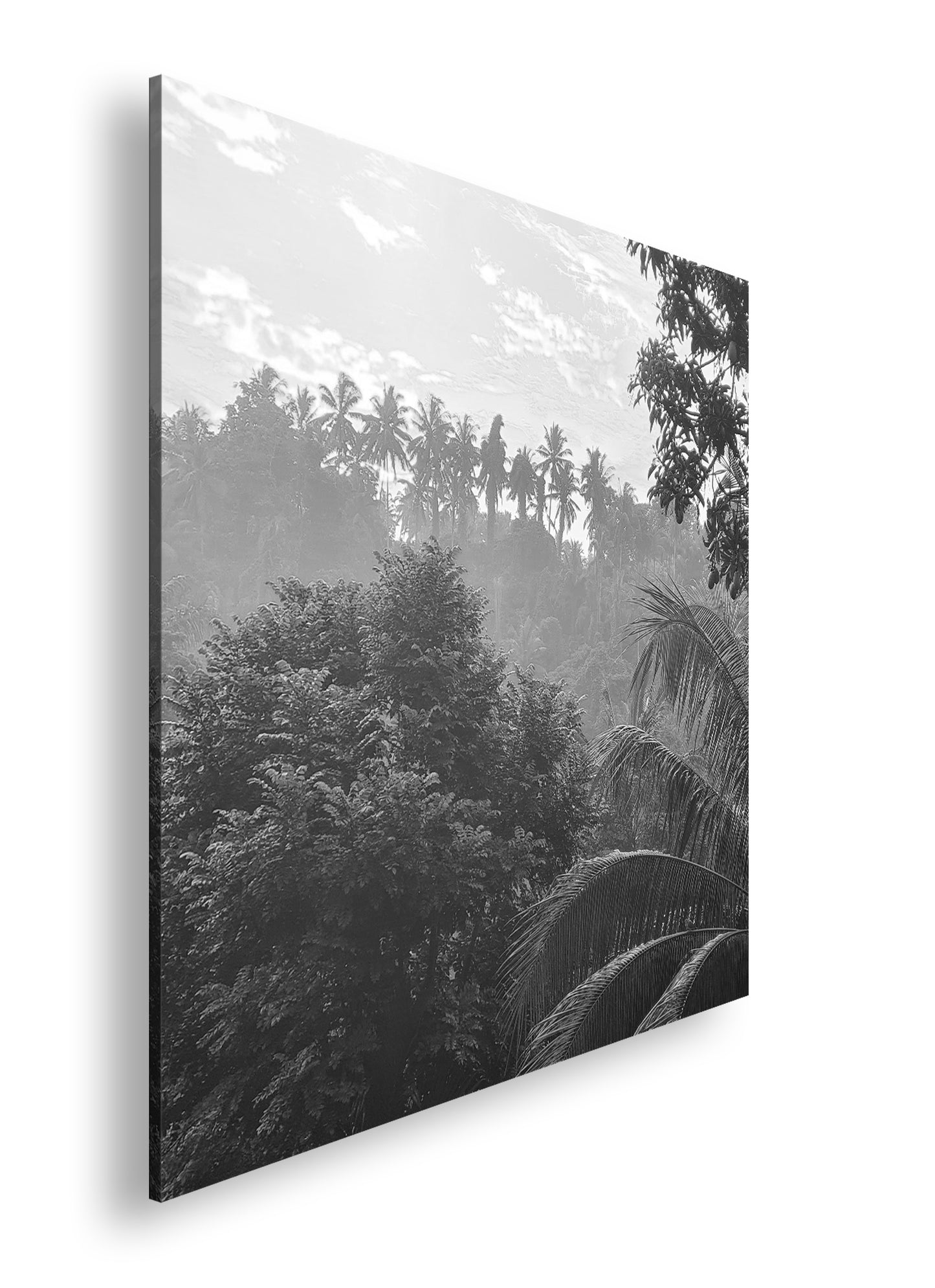 Hauptbild Schwarz & Weiß Quadratisch