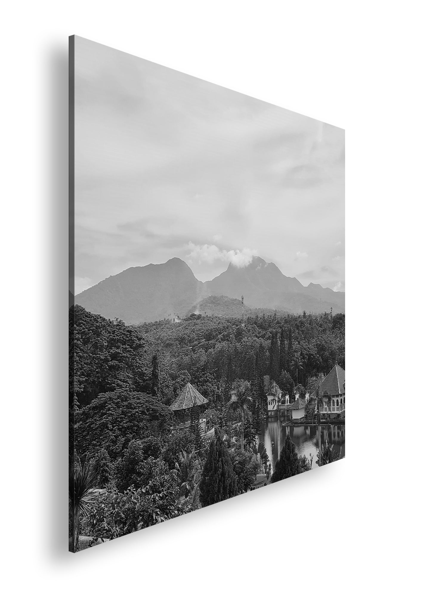 Hauptbild Schwarz & Weiß Quadratisch