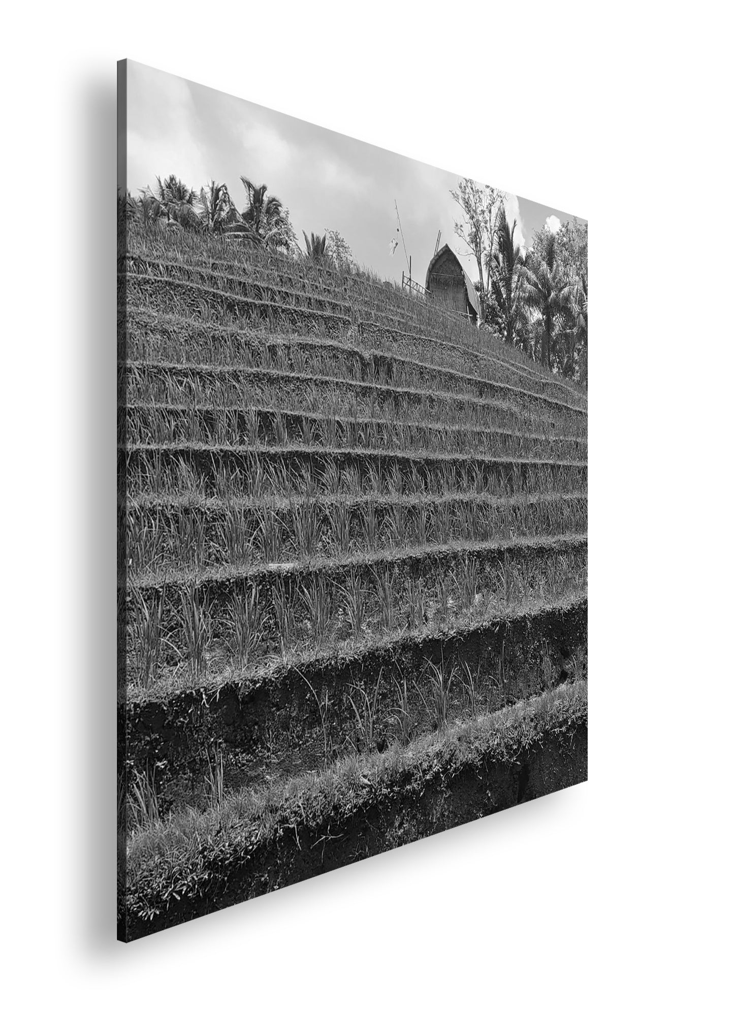 Hauptbild Schwarz & Weiß Quadratisch