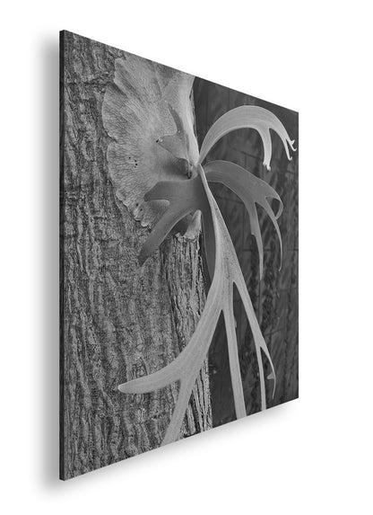 Hauptbild Schwarz & Weiß Quadratisch