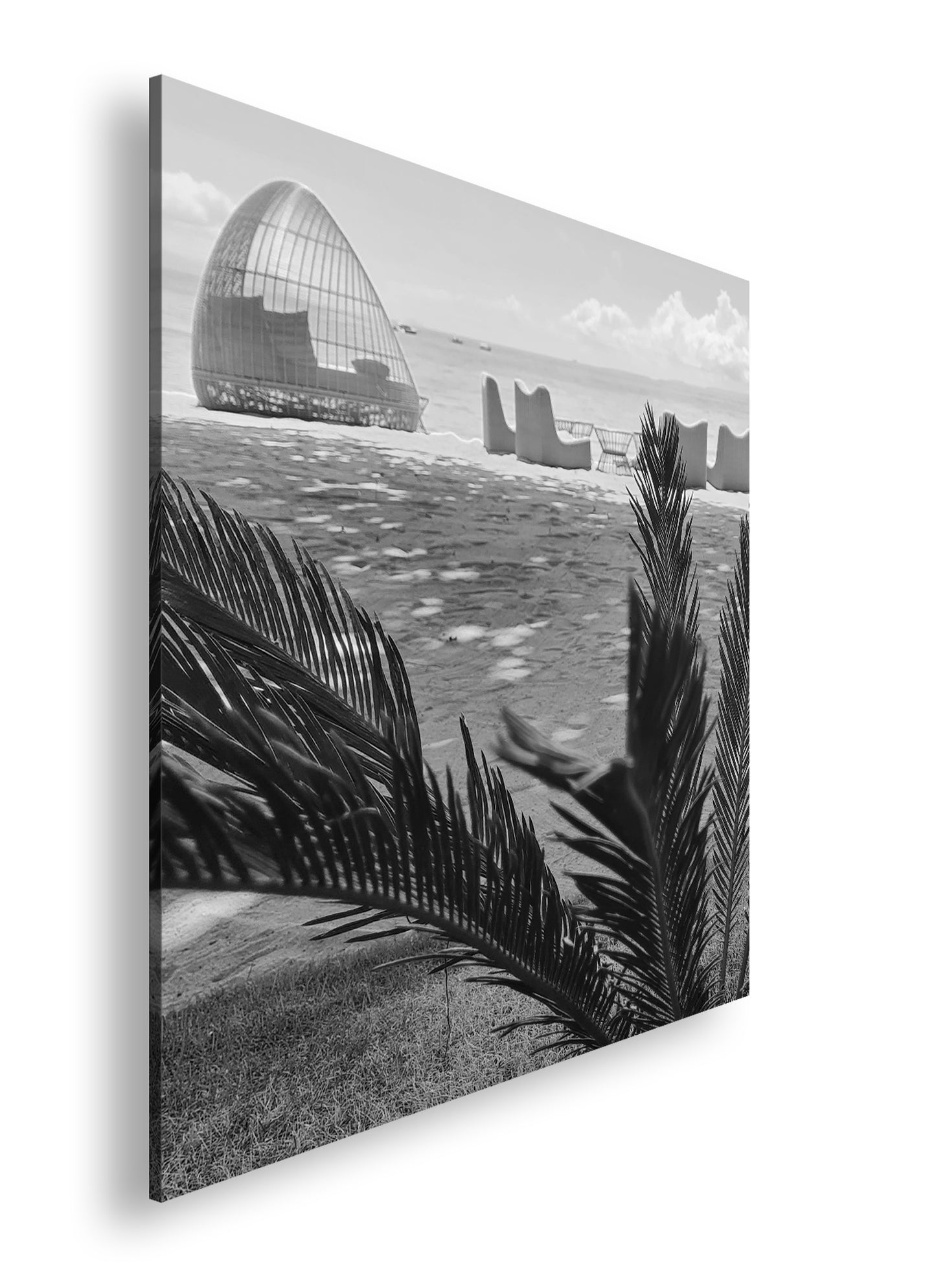 Hauptbild Schwarz & Weiß Quadratisch