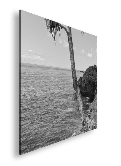 Hauptbild Schwarz & Weiß Quadratisch