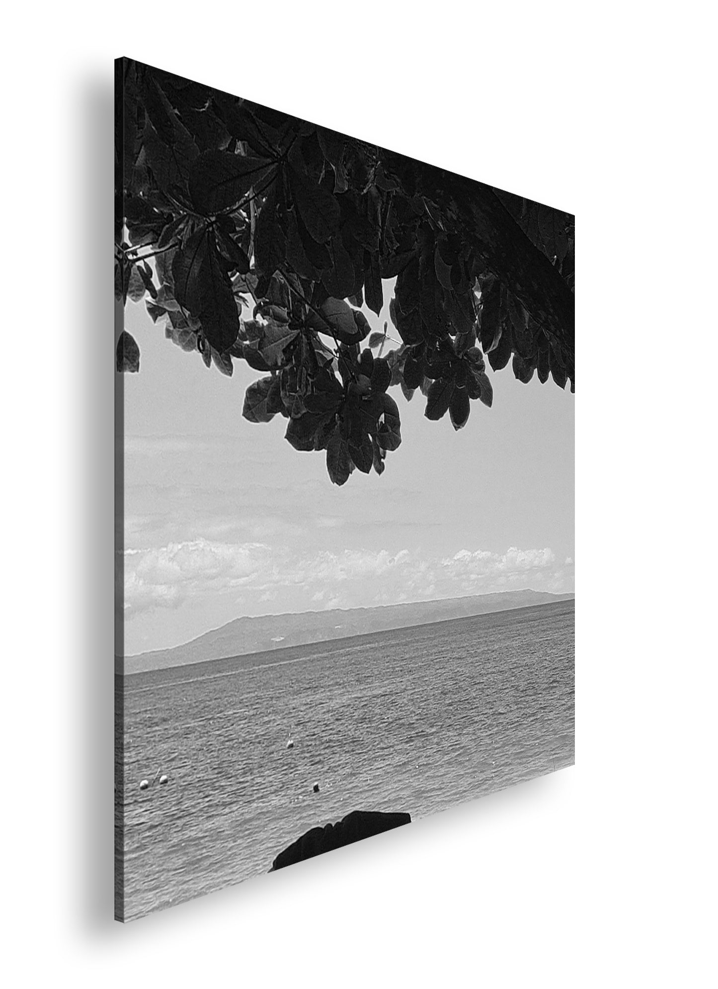 Hauptbild Schwarz & Weiß Quadratisch