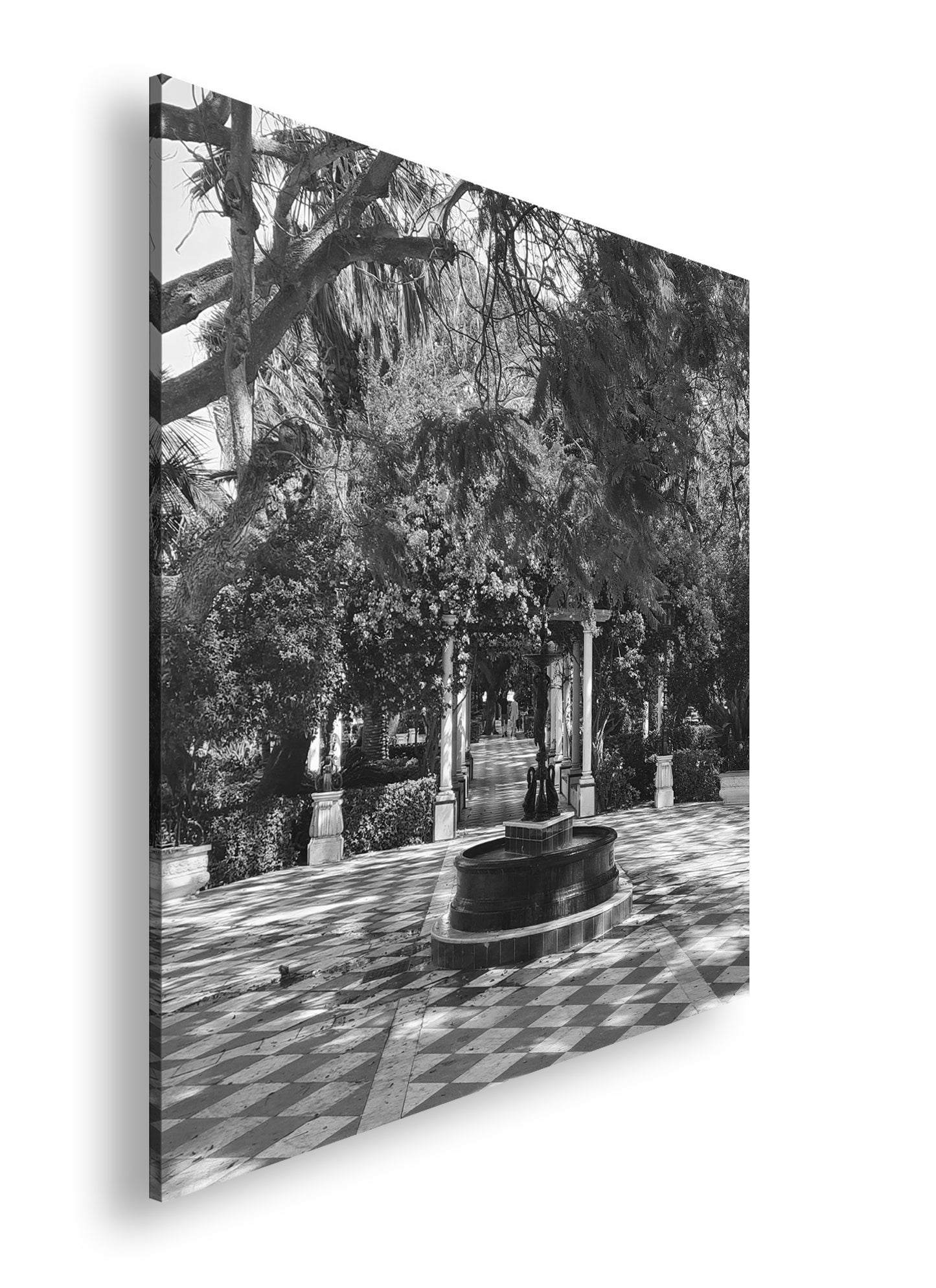 Hauptbild Schwarz & Weiß Quadratisch