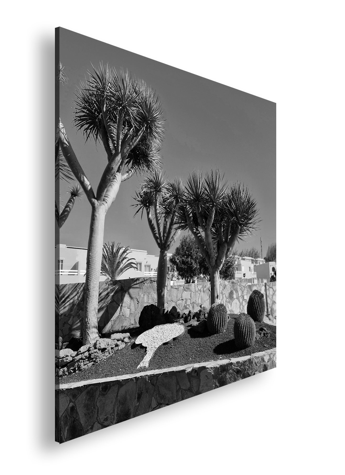 Hauptbild Schwarz & Weiß Quadratisch