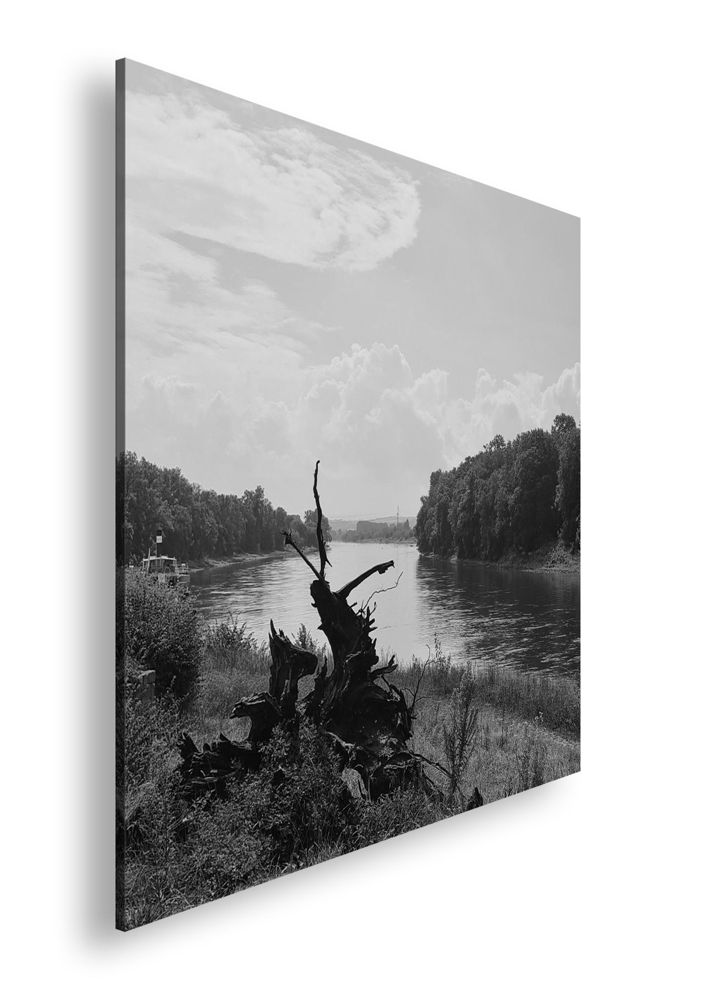 Hauptbild Schwarz & Weiß Quadratisch