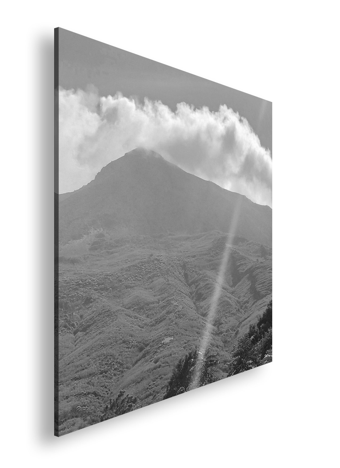 Hauptbild Schwarz & Weiß Quadratisch