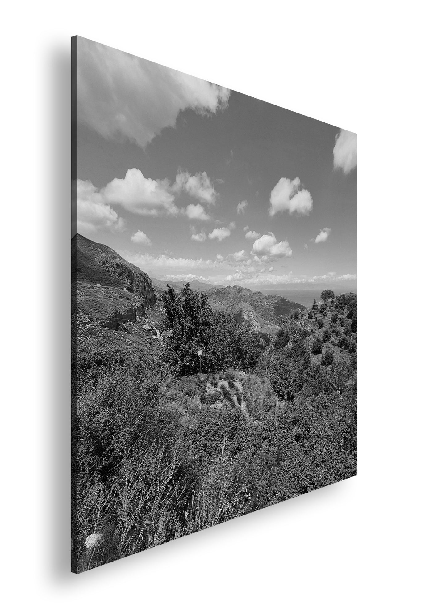 Hauptbild Schwarz & Weiß Quadratisch