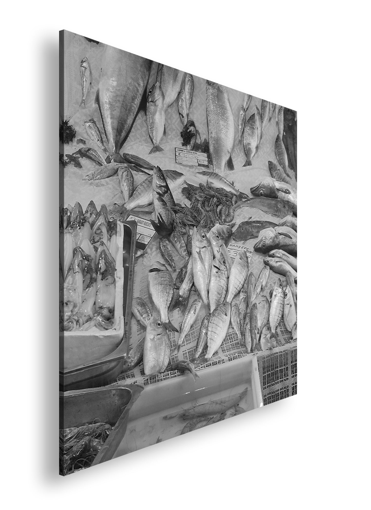 Hauptbild Schwarz & Weiß Quadratisch