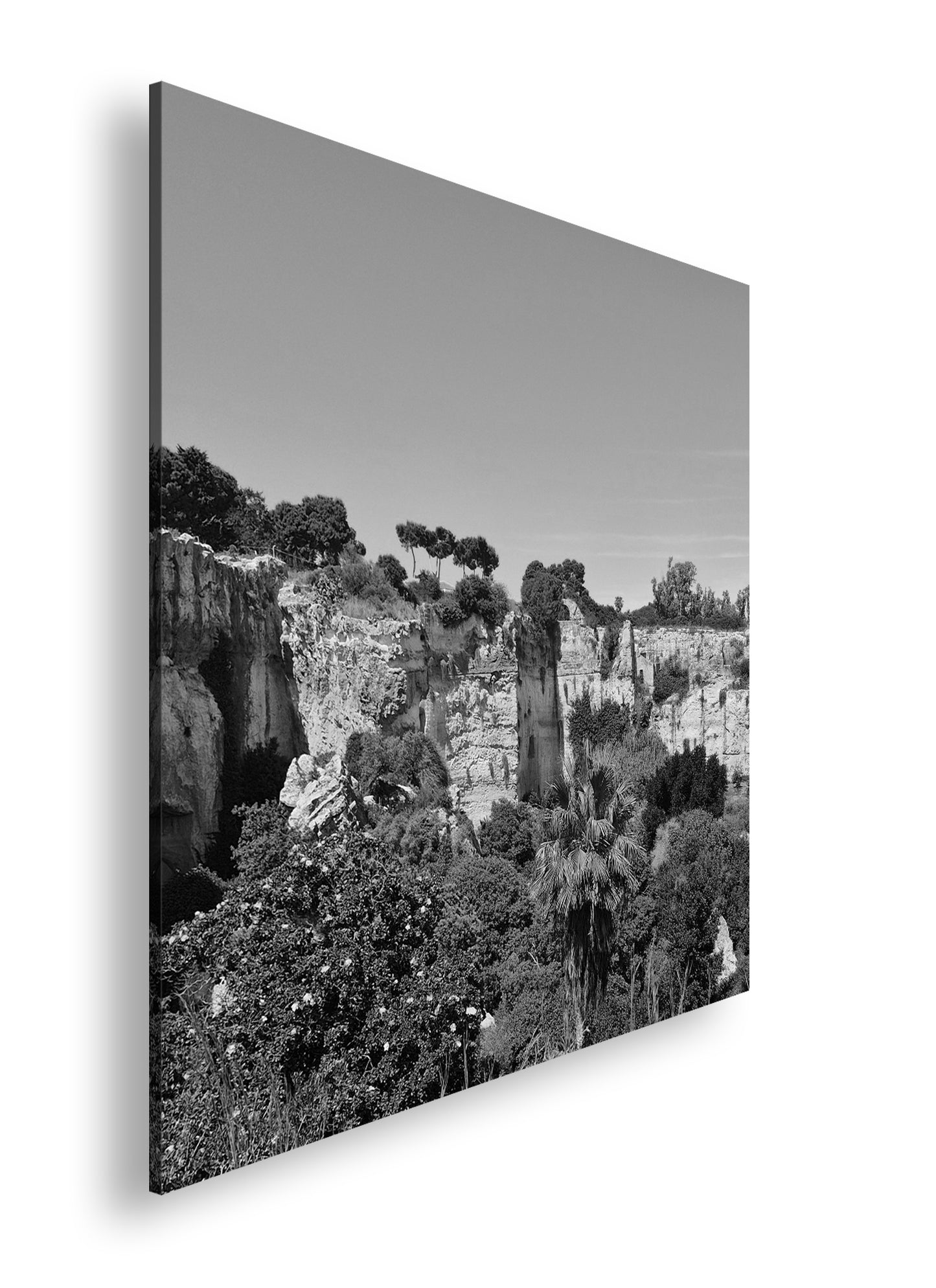 Hauptbild Schwarz & Weiß Quadratisch