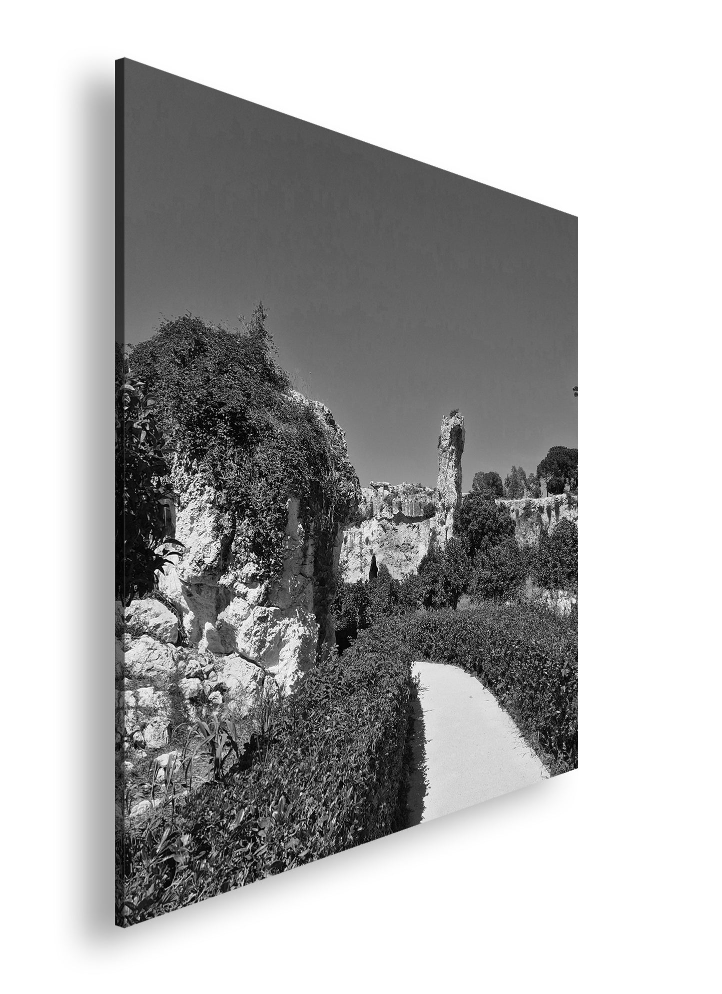 Hauptbild Schwarz & Weiß Quadratisch