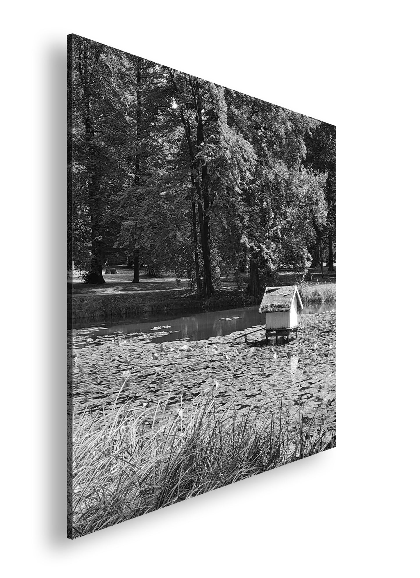 Hauptbild Schwarz & Weiß Quadratisch