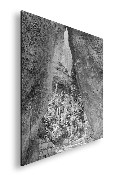 Hauptbild Schwarz & Weiß Quadratisch