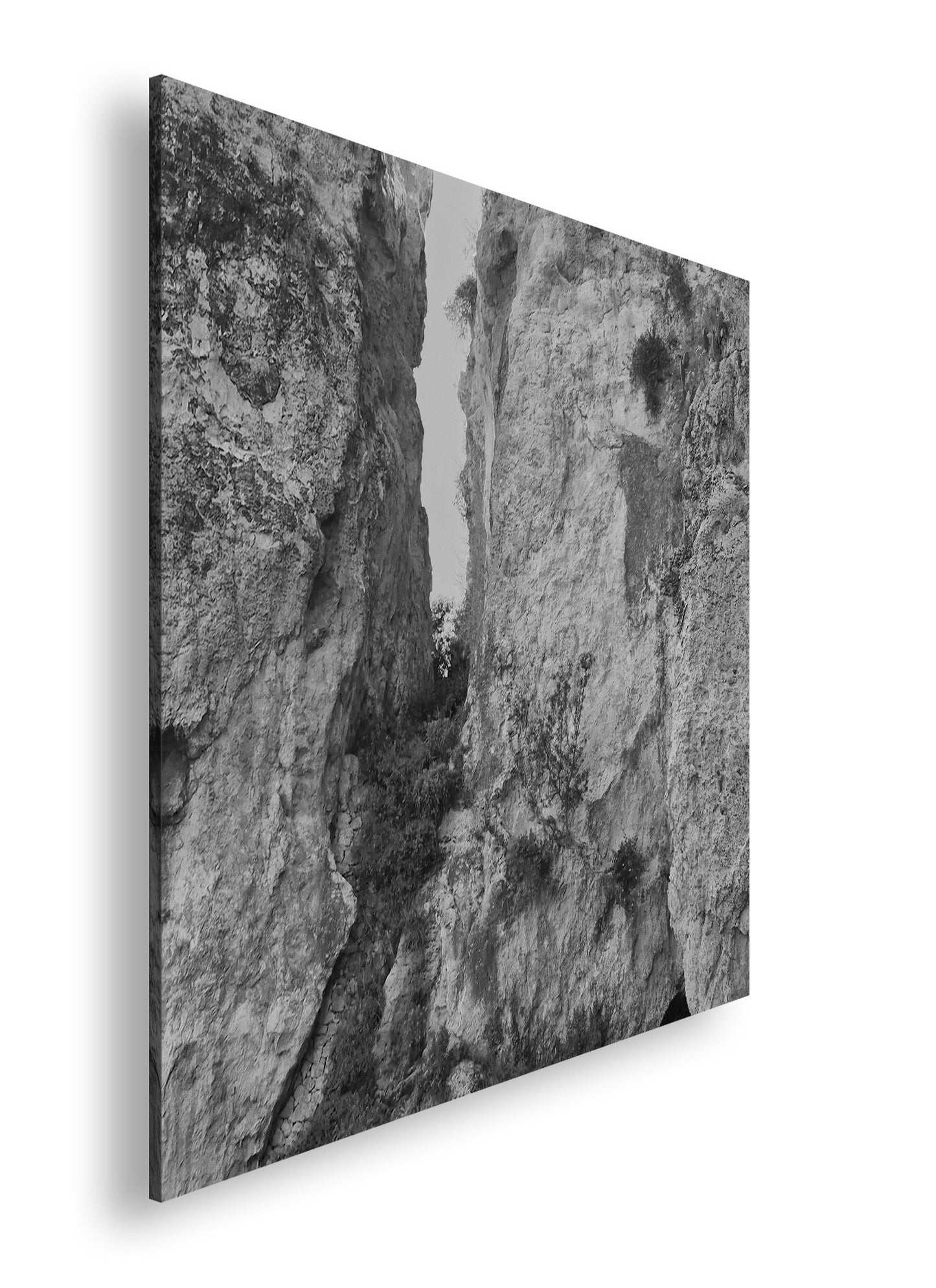 Hauptbild Schwarz & Weiß Quadratisch