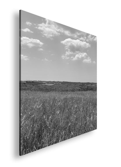 Hauptbild Schwarz & Weiß Quadratisch