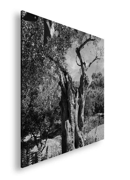 Hauptbild Schwarz & Weiß Quadratisch