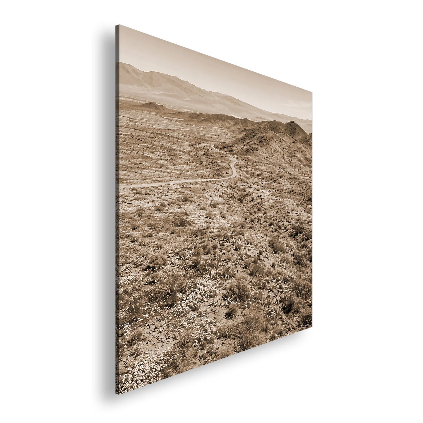 Hauptbild Sepia Quadratisch