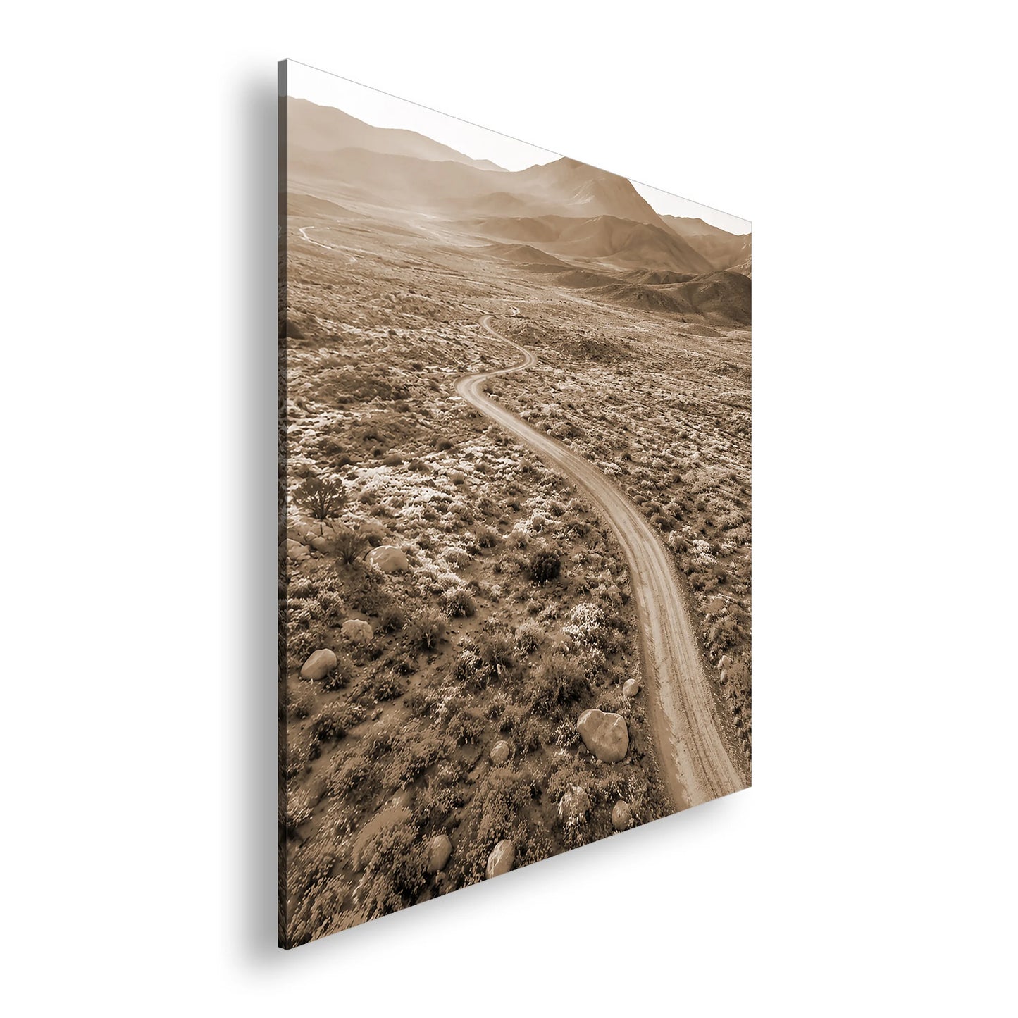 Hauptbild Sepia Quadratisch