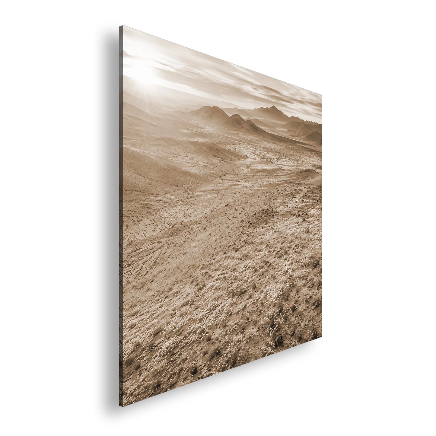 Hauptbild Sepia Quadratisch