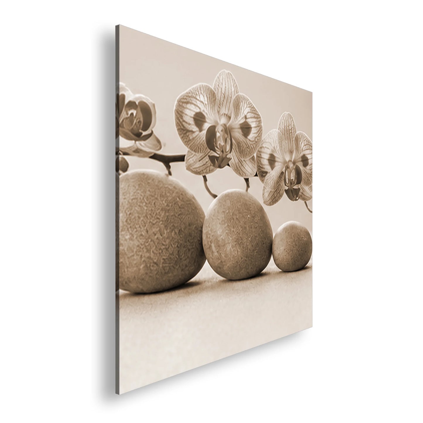 Hauptbild Sepia Quadratisch