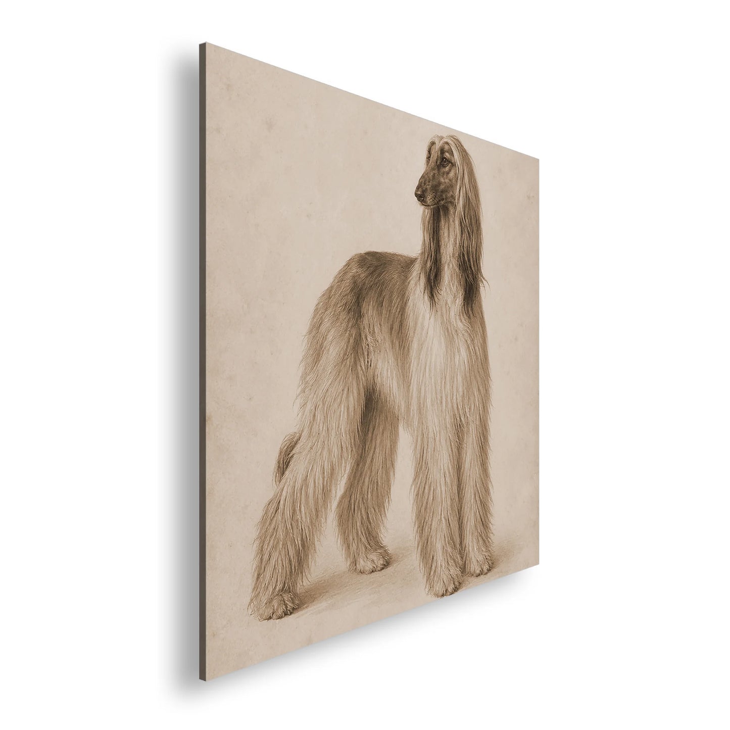 Hauptbild Sepia Quadratisch