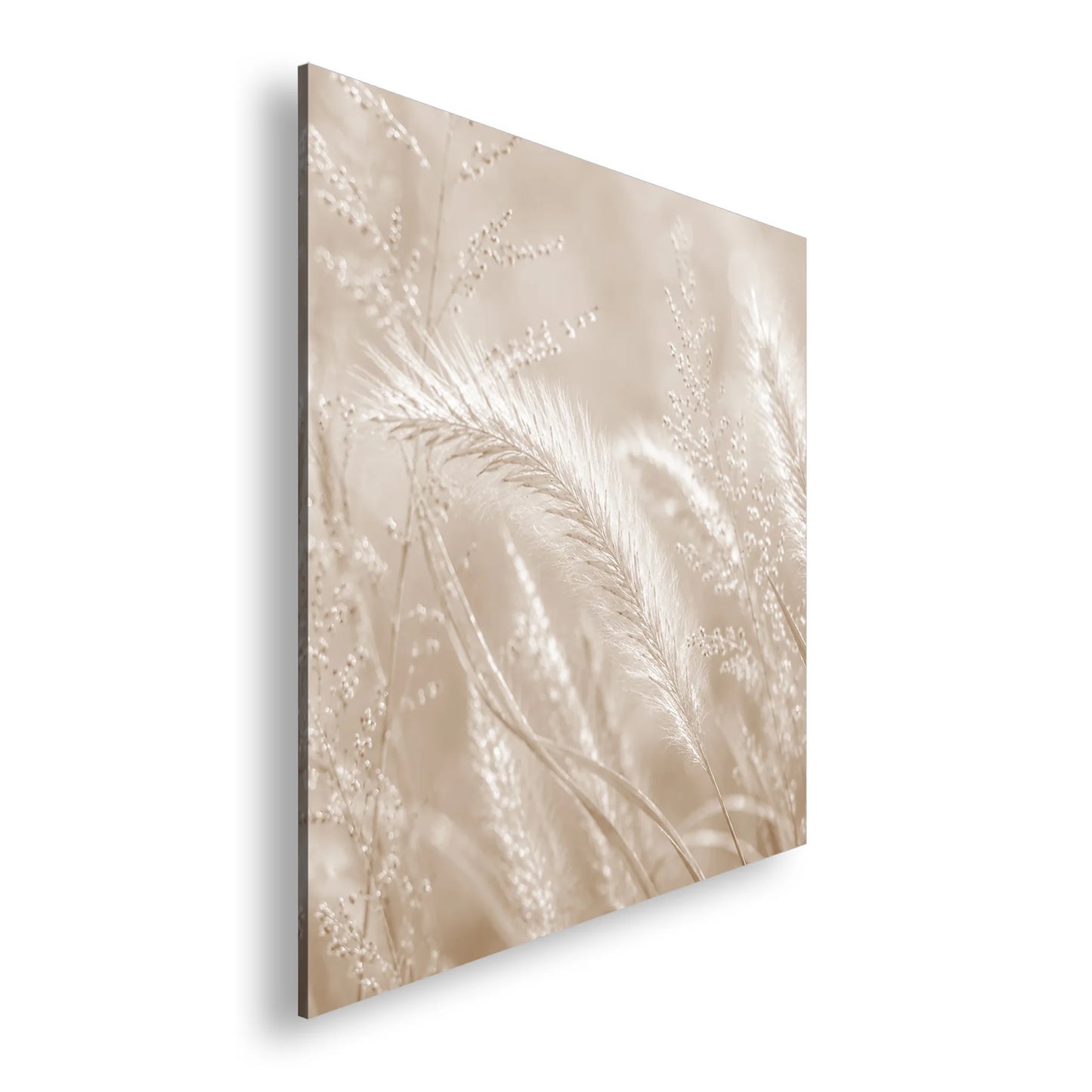 Hauptbild Sepia Quadratisch