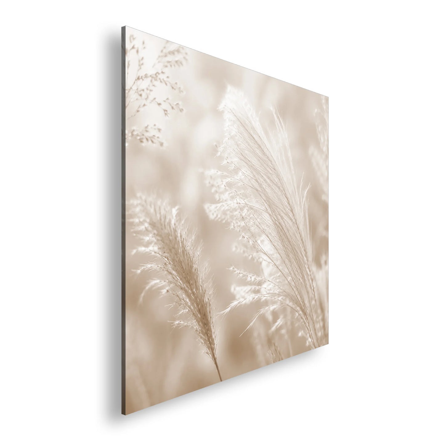 Hauptbild Sepia Quadratisch