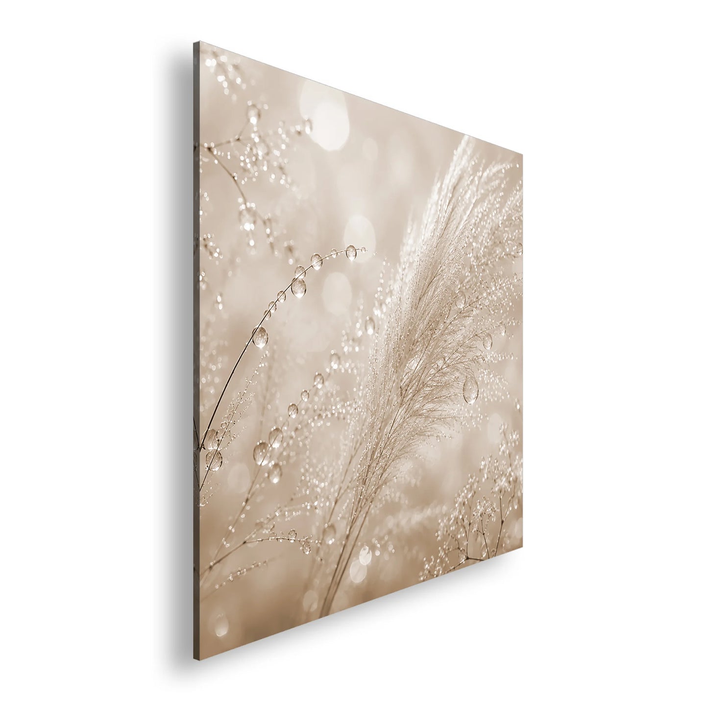 Hauptbild Sepia Quadratisch