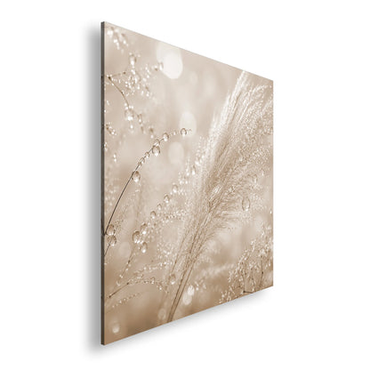 Hauptbild Sepia Quadratisch